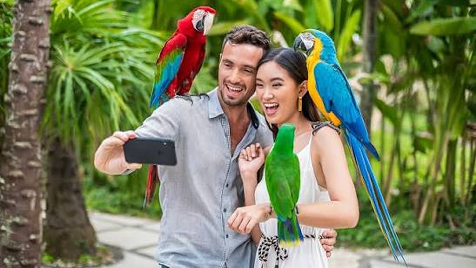 Balibirdpark(1) 1