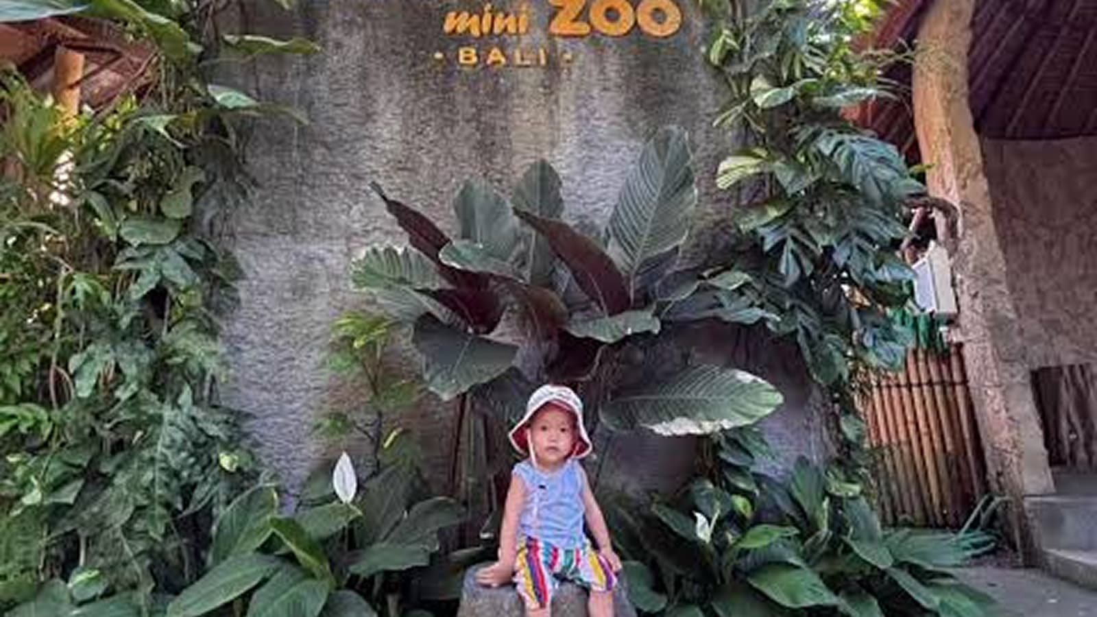Hidden zoo(1) 1