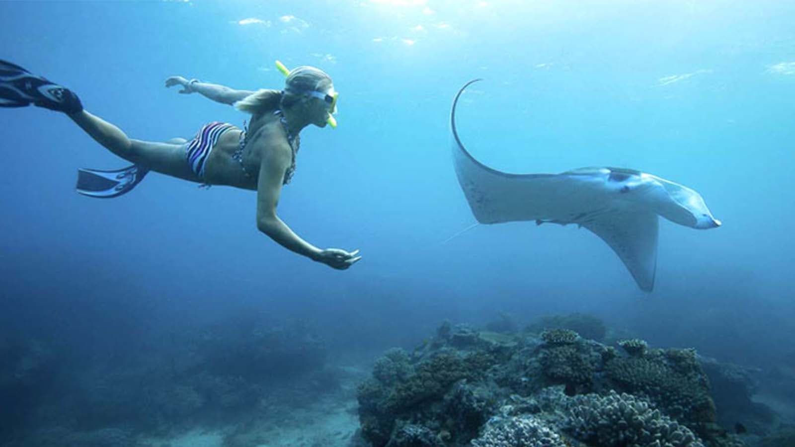 manta bay 1600x900 (1)