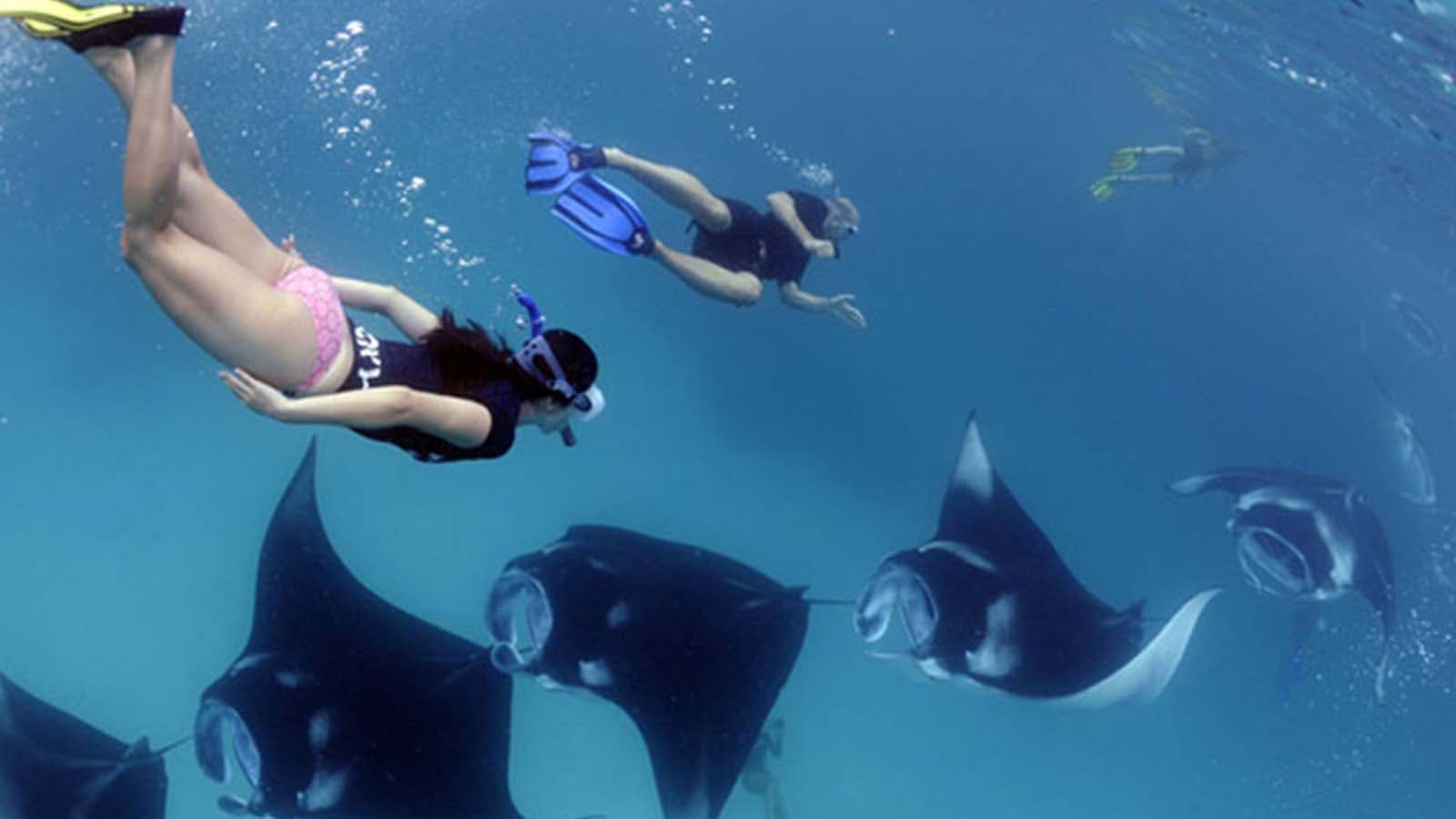 manta bay 1600x900 (2)