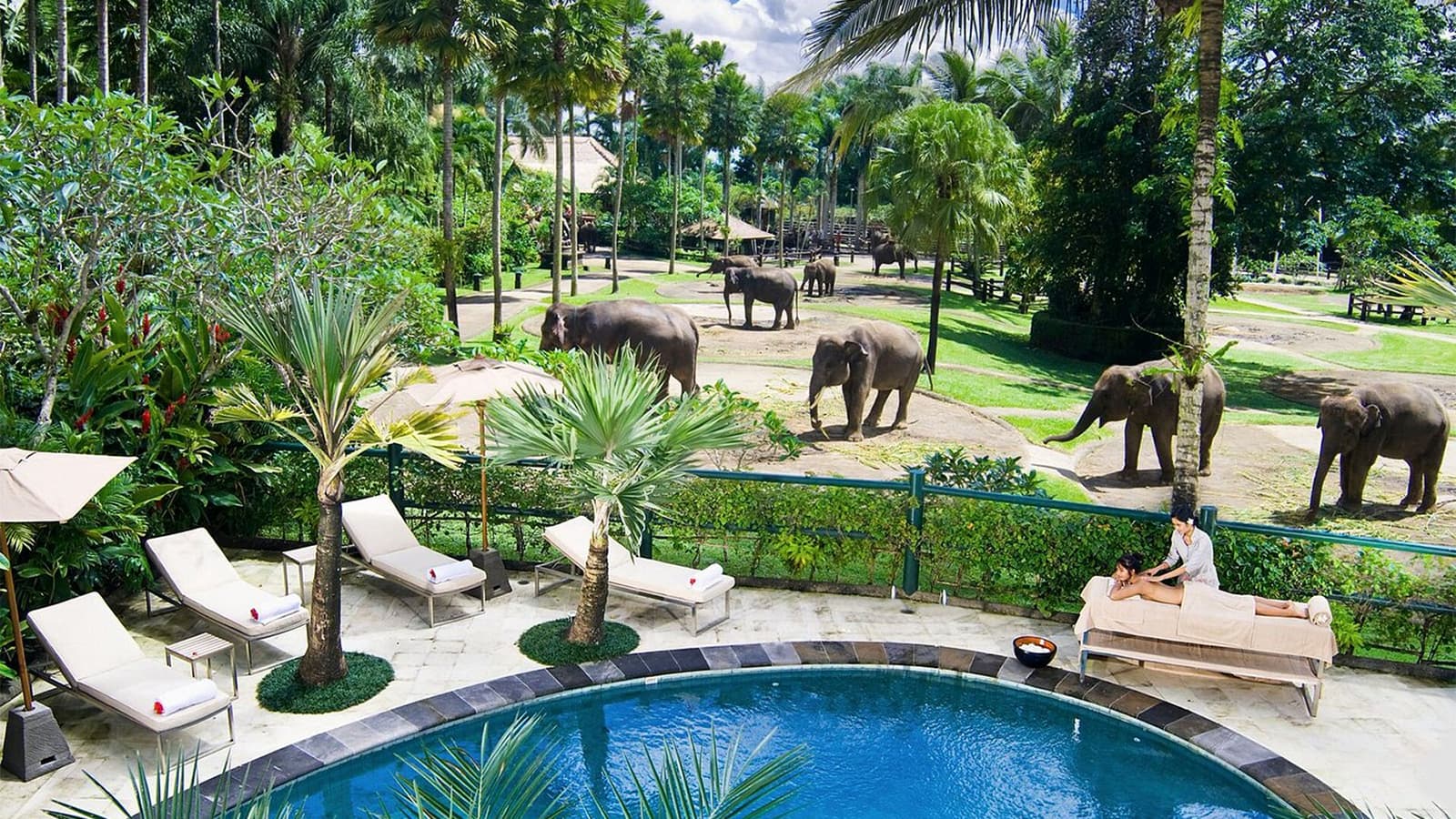 mason elephant park 1